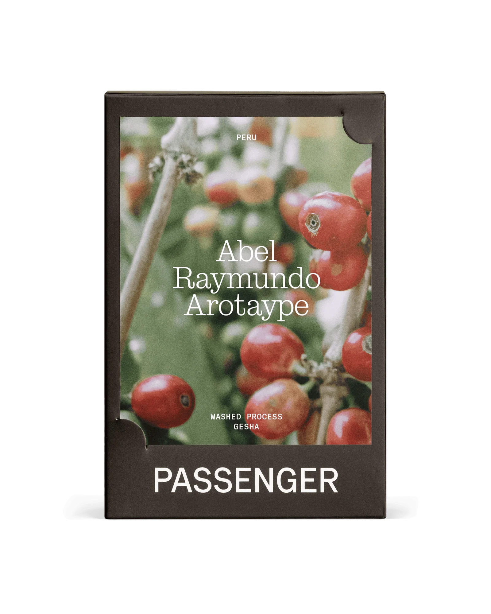 PASSENGER- Abel Raymundo Arotaype (COE #11 2024)