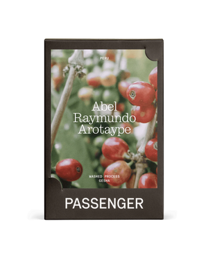 PASSENGER- Abel Raymundo Arotaype (COE #11 2024)