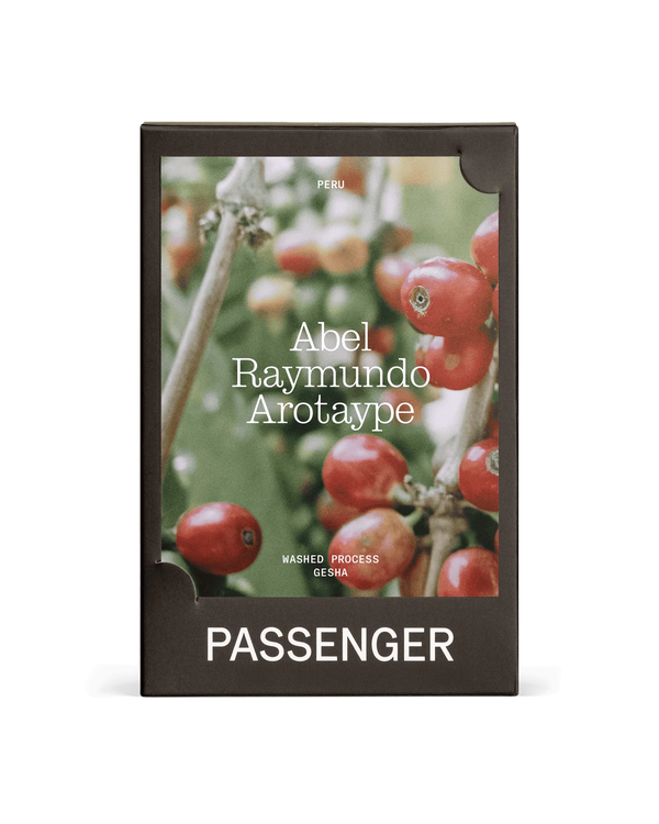 PASSENGER- Abel Raymundo Arotaype (COE #11 2024)