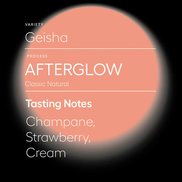 SAVAGE-AFTERGLOW | CLASSIC NATURAL GEISHA 200G