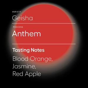 Anthem | Geisha