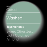 Catuai | Washed