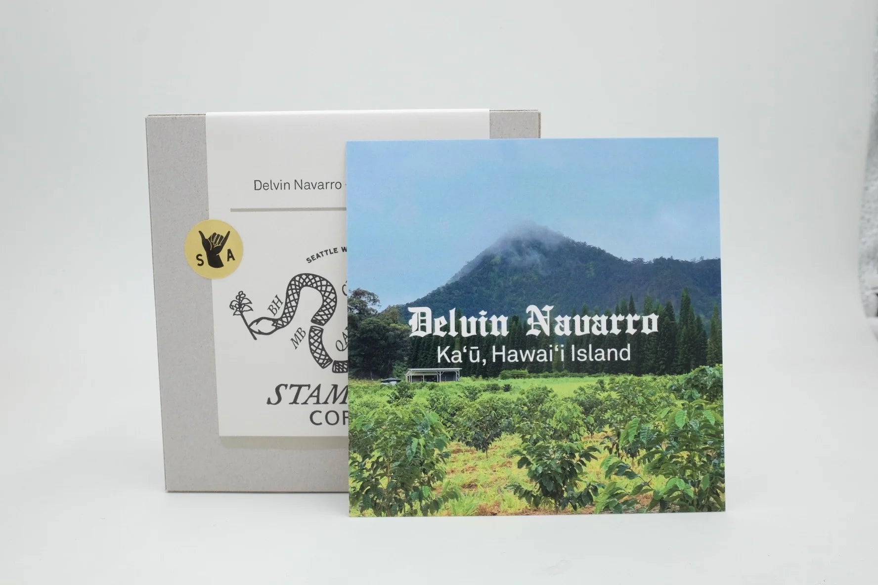 Stamp Act- Delvin Navarro- Pink Honey Typica
