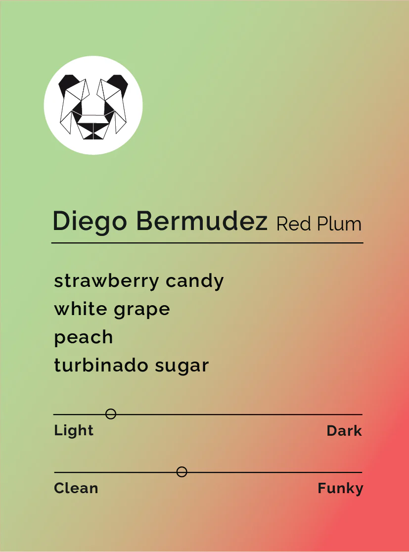 BLACK & WHITE- Diego Bermudez- Red Plum
