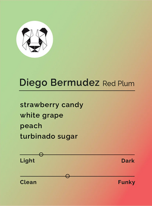 BLACK & WHITE- Diego Bermudez- Red Plum