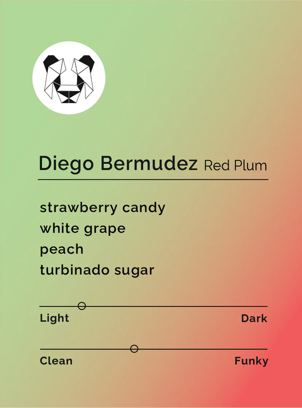 BLACK & WHITE- Diego Bermudez- Red Plum
