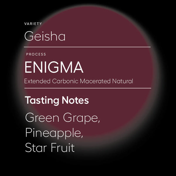 SAVAGE-ENIGMA | EXTENDED NATURAL CARBONIC MACERATED PROCESS 200G