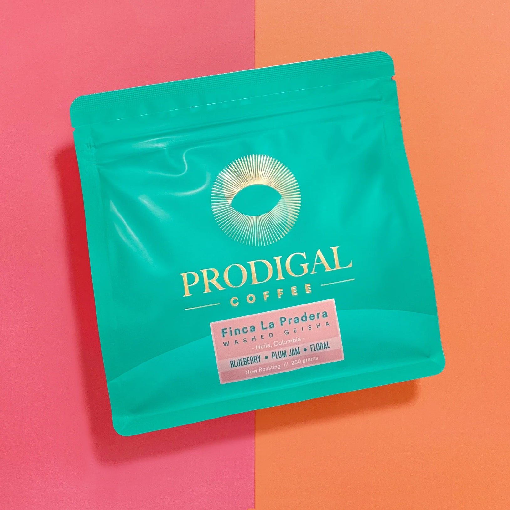 PRODIGAL- Finca La Pradera Gesha