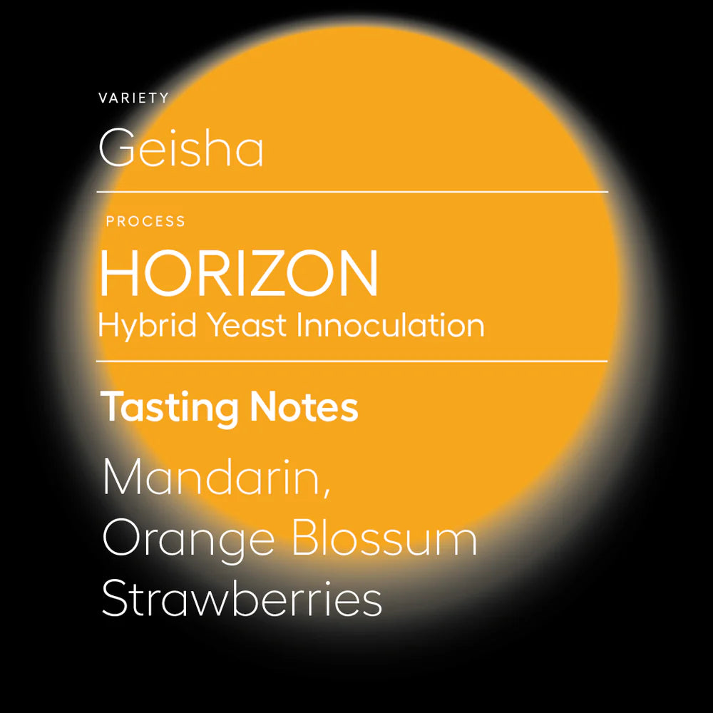 SAVAGE-HORIZON | HYBRID YEAST INOCULATION 200G