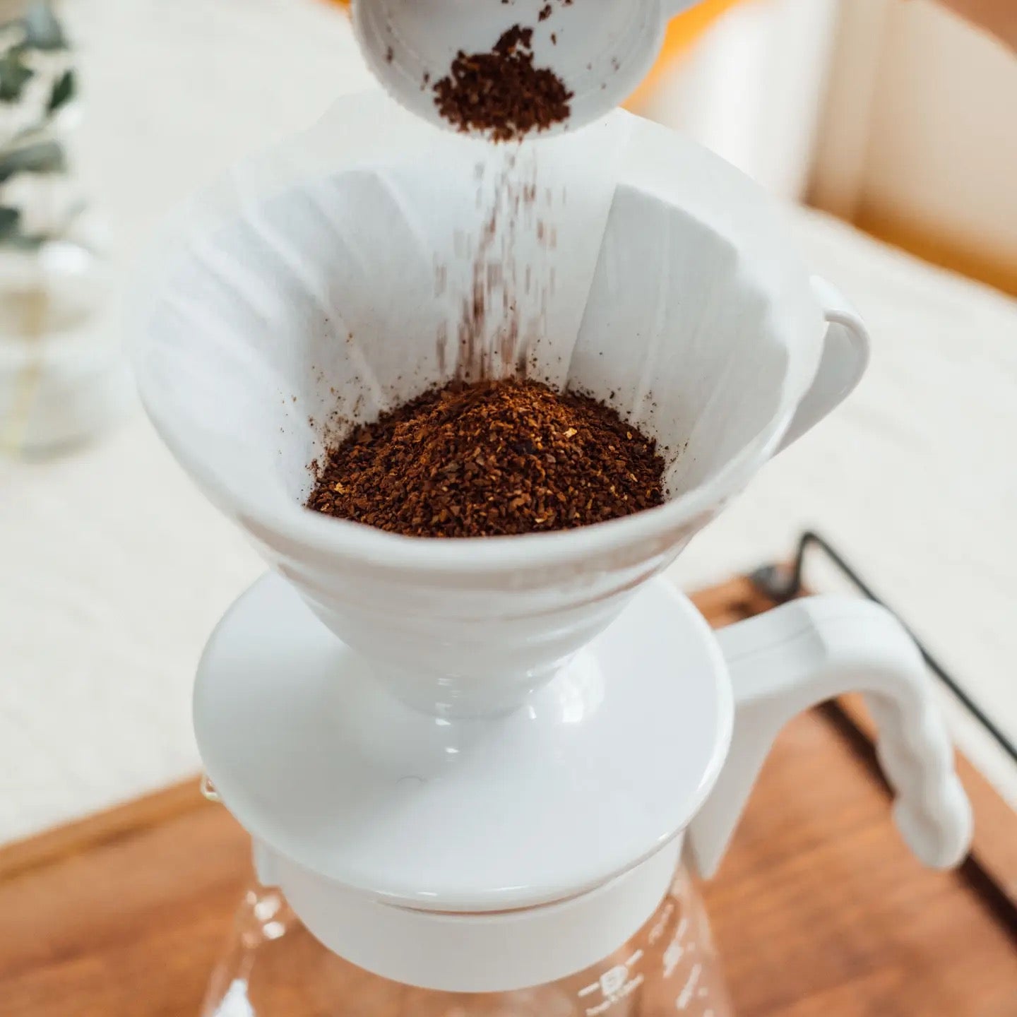 HARIO USA - HARIO V60 Coffee Server 02 Set