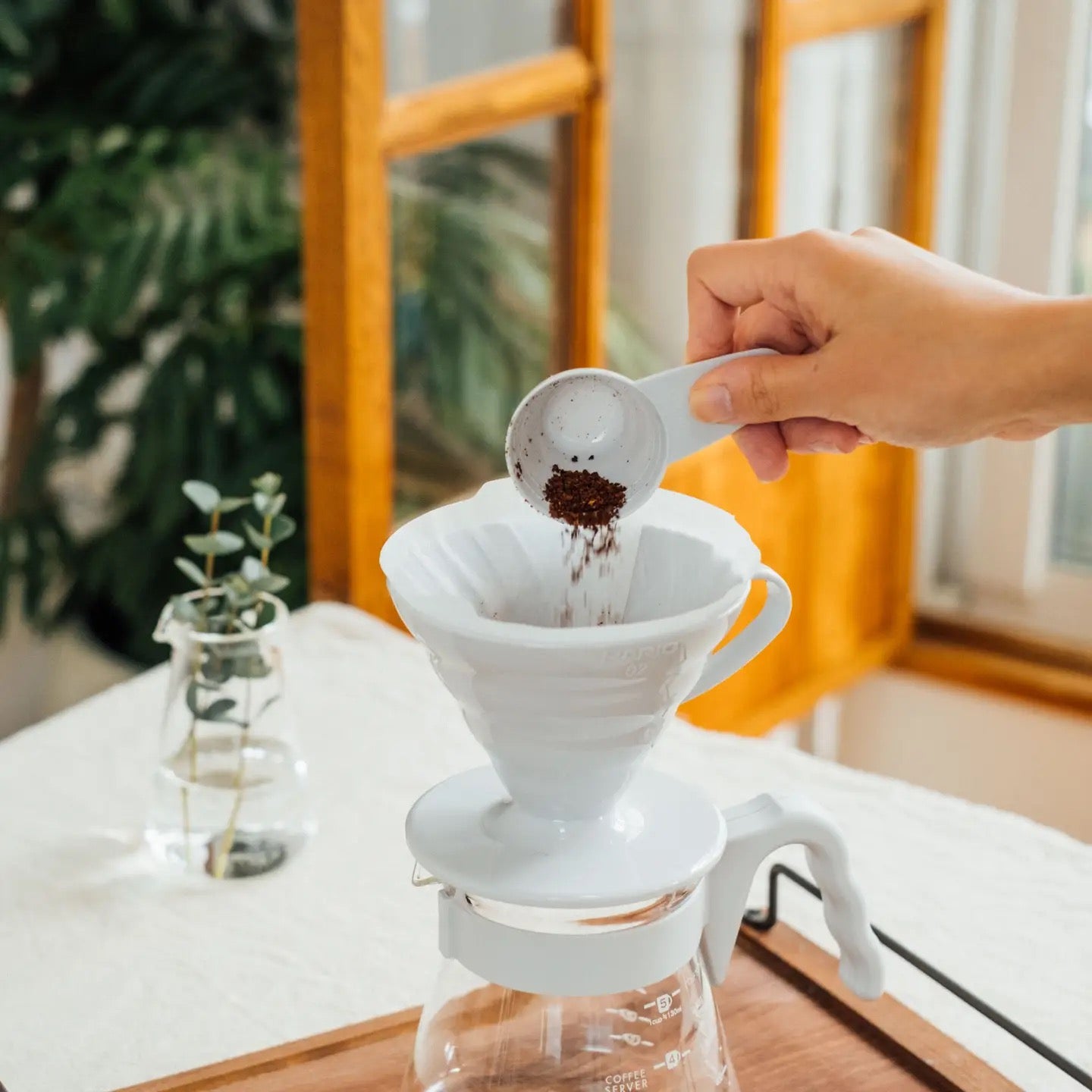 HARIO USA - HARIO V60 Coffee Server 02 Set