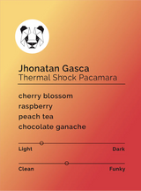 BLACK & WHITE- Jhonathan Gasca- Thermal Shock Pacamara