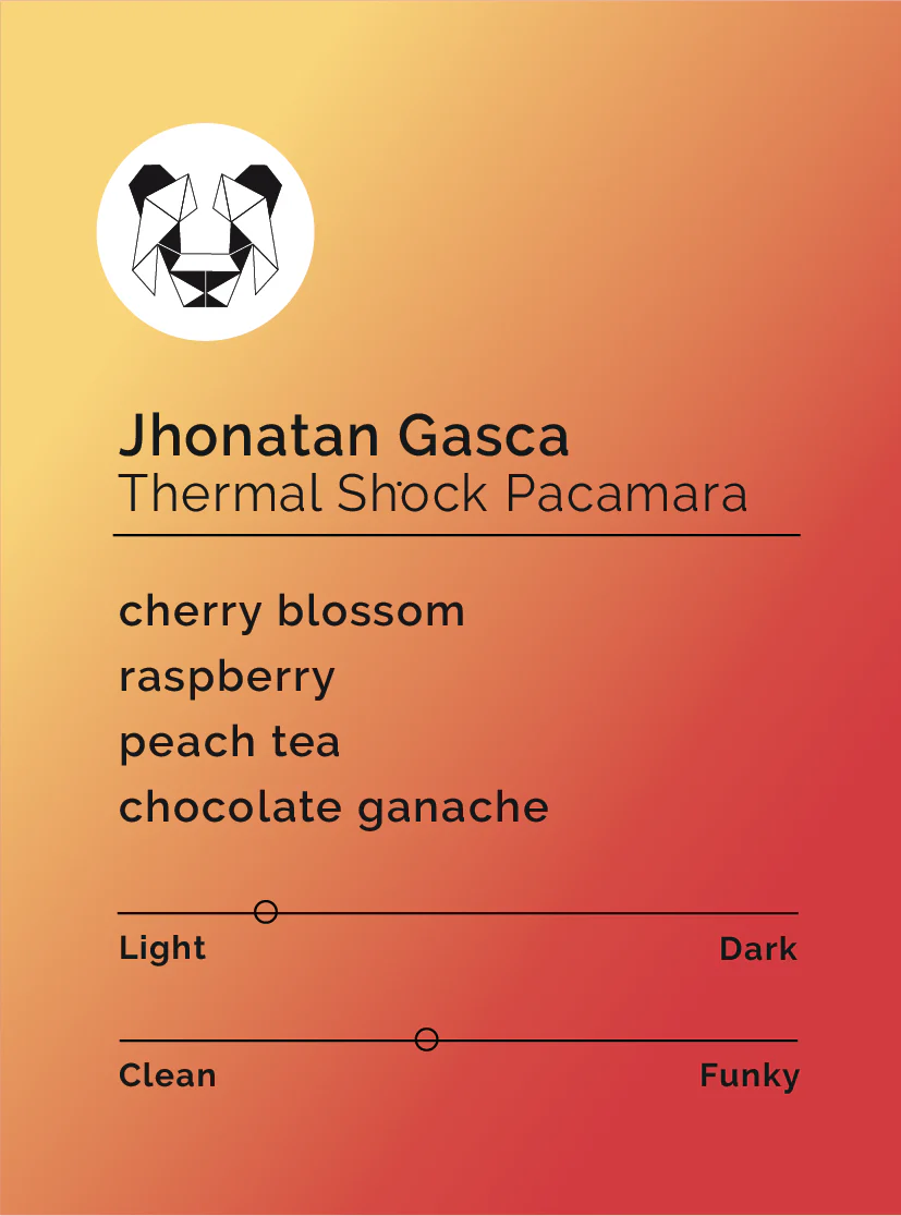 BLACK & WHITE- Jhonathan Gasca- Thermal Shock Pacamara