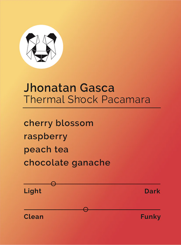 BLACK & WHITE- Jhonathan Gasca- Thermal Shock Pacamara