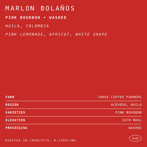 HEX-Marlon Bolaños Pink Bourbon • Washed // Huila, Colombia 10oz