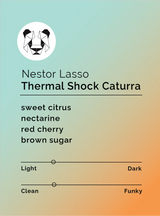 Black & White- Nestor Lasso