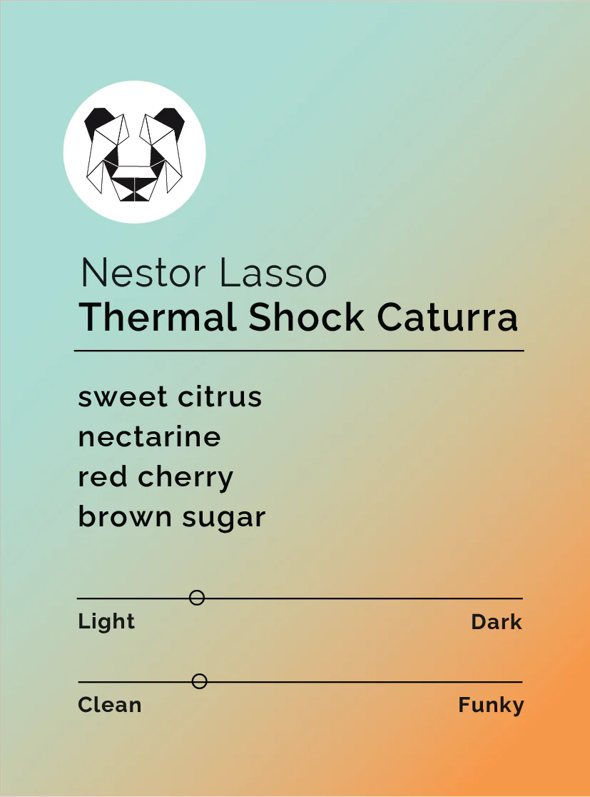 Black & White- Nestor Lasso