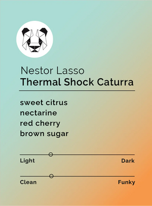 Black & White- Nestor Lasso