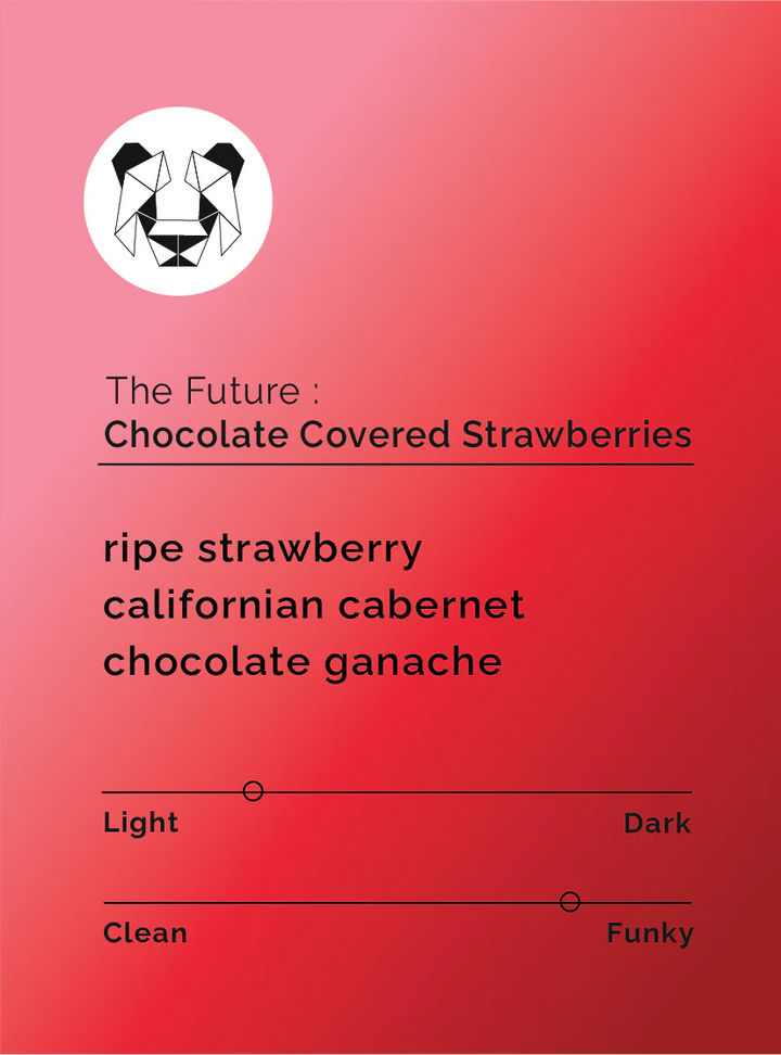 Black & White - The Future - Chocolate Covered Strawberries