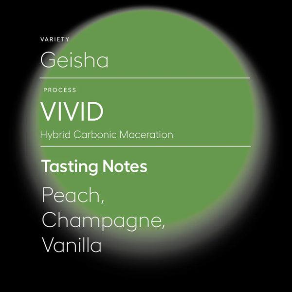 SAVAGE-VIVID | HYBRID PROCESS GEISHA 200G