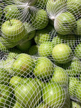 Lunchbox New Profile green apple