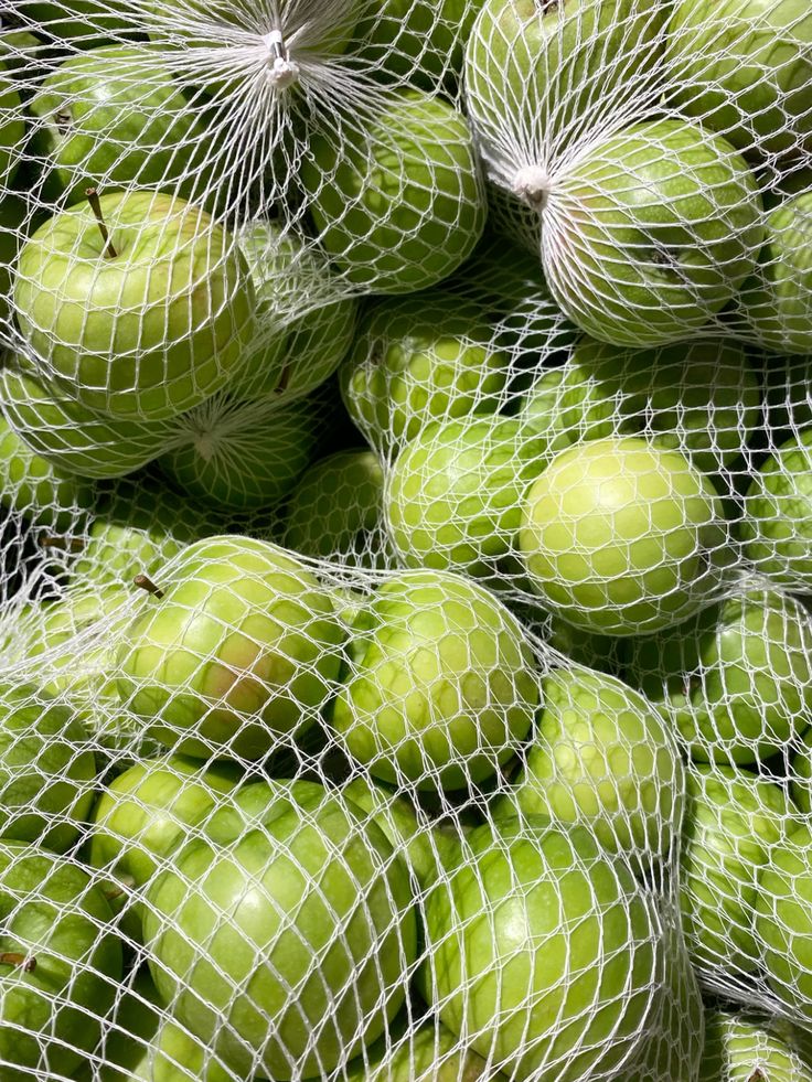 Lunchbox New Profile green apple