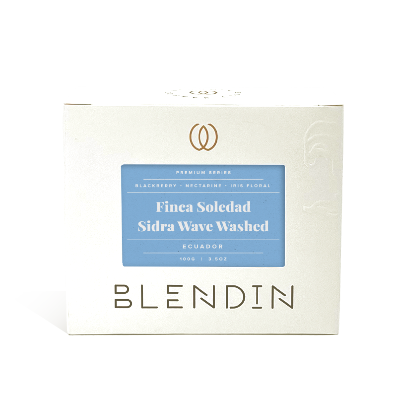 Finca Soledad Sidra Wave Washed