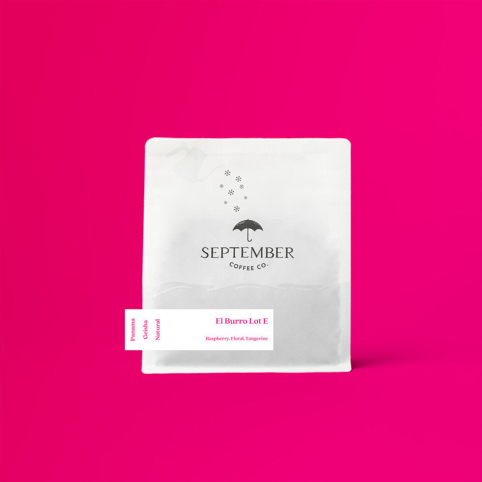 SEPTEMBER- El Burro Lot E - Panama Natural Geisha 100G