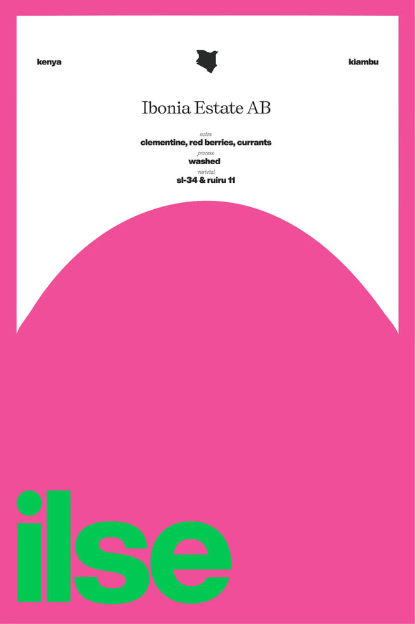 ILSE-Kenya | Ibonia Estate AB Washed SL-34 & Ruiru 11 250G