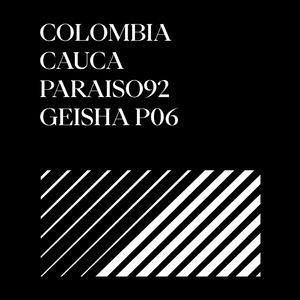 Protokoll-Colombia Cauca Paraiso92 Geisha P06