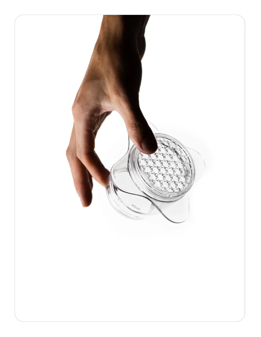Z1 BREWER