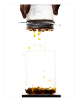 Z1 BREWER